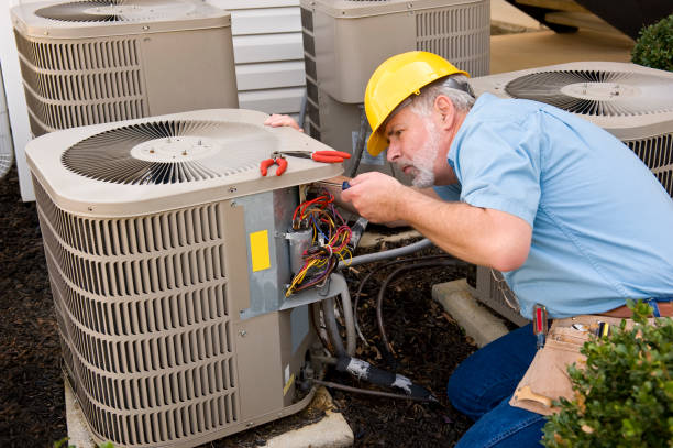 Best HVAC Cleaning Services  in Borrego Springs, CA